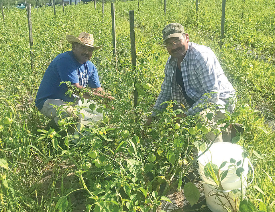 Agua Gorda Cooperative owners named 2019 ‘Todd County Farm Family of the Year’